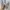 Uniqlo Luxury Minimalist Cardigan Wanita gray photo 4