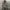 Vintage Streetwear Parka Pria green photo 2