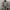Vintage Streetwear Parka Pria green photo 1