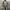 Vintage Streetwear Parka Pria green photo 3