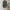 Uniqlo Vintage Luxury Cardigan Wanita green photo 1