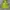 Uniqlo Casual Track jacket Pria green photo 2