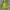 Uniqlo Casual Track jacket Pria green photo 1