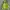 Uniqlo Casual Track Jacket Pria Green