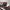 Adidas Casual Sneakers Pria burgundy white photo 2