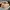 Casual Sandals & slide Pria tan photo 3