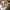 Casual Sandals & slide Pria tan photo 5