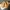 Casual Sandals & slide Pria tan photo 4
