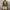 RIPVANWINKLE Vintage Streetwear Bomber jacket Pria khaki photo 2