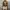 RIPVANWINKLE Vintage Streetwear Bomber Jacket Pria Khaki