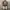 RIPVANWINKLE Vintage Streetwear Bomber jacket Pria khaki photo 1