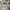 VETEMENTS Casual Track jacket Pria white photo 3