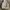 VETEMENTS Casual Track jacket Pria white photo 1