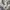 VETEMENTS Casual Track jacket Pria white photo 4