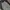 Y2K Jeans Pria white black photo 3