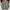Vintage Streetwear Bomber jacket Pria green photo 2