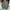 Vintage Streetwear Bomber Jacket Pria Green