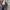 EDWIN Vintage Streetwear Jeans Pria blue photo 5