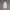 Columbia Sportswear Hoody Wanita multicolor cream photo 1