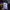 Adidas Gorpcore Casual Pria purple black photo 5