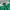 Dickies Vintage Streetwear Casual pants Pria green photo 5