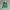 Dickies Vintage Streetwear Casual pants Pria green photo 1