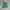 Dickies Vintage Streetwear Casual Pants Pria Green