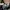 Longchamp Lolita Indie Handbag Wanita green photo 4