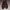 Geox Biker Casual Boots Pria brown photo 1