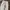 GU Streetwear Y2K Casual pants Pria cream photo 3