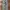 Avirex Vintage Y2K Casual pants Pria green photo 2