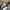 Avirex Vintage Y2K Casual pants Pria green photo 6