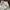 Uniqlo Streetwear Y2K Jeans Pria white photo 6