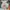Y2K Casual shirt Pria multicolor photo 5