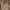 Deus Ex Machina Vintage Biker Varsity jacket Pria tan brown photo 5