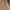 Deus Ex Machina Vintage Biker Varsity jacket Pria tan brown photo 3