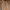 Deus Ex Machina Vintage Biker Varsity jacket Pria tan brown photo 1