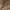 Deus Ex Machina Vintage Biker Varsity jacket Pria tan brown photo 6