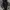 Dirty Business Y2K Hoody Pria black photo 3