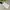 Puma Sportswear T-shirt Pria white gray photo 5
