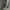 Oakley Vintage Y2K Jeans Pria gray photo 4