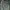 Zara Biker Casual Denim Jacket Pria Green