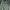 Zara Biker Casual Denim Jacket Pria Green