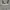 Y2K Crop top Wanita white photo 1