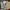 Converse Streetwear Casual Sneakers Pria gray photo 5