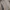 Minimalist Futurist Formal shirt Pria tan black photo 2