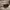 Minimalist Futurist Formal shirt Pria tan black photo 3