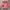 Cosplay Coquette Hoody Wanita Pink