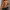 H&M Y2K Sweater Pria Orange