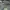 Nike Casual Hoody Pria green gray photo 1